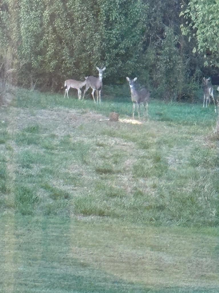 9860 Cerulean Sinking Fork Rd