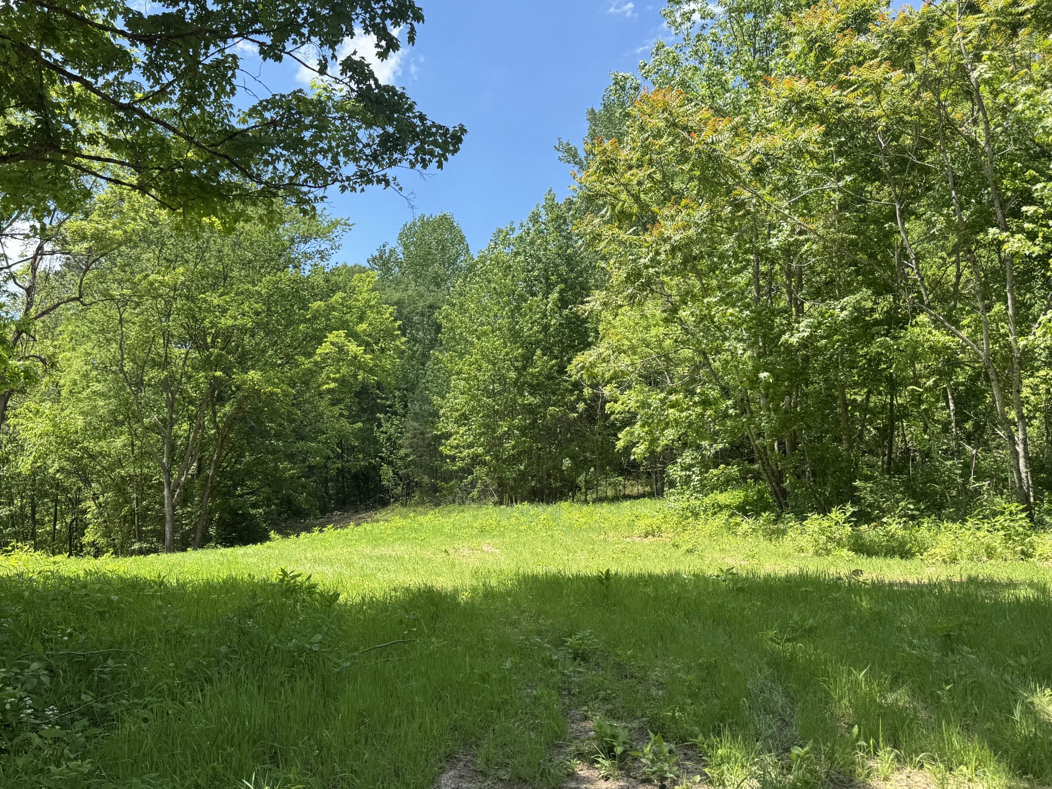 0 Cub Creek Rd