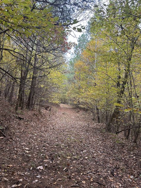 316 Arbor Linden TN 37096