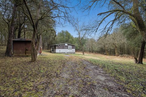 165 Holmes Gap Rd Brush Creek TN 38547