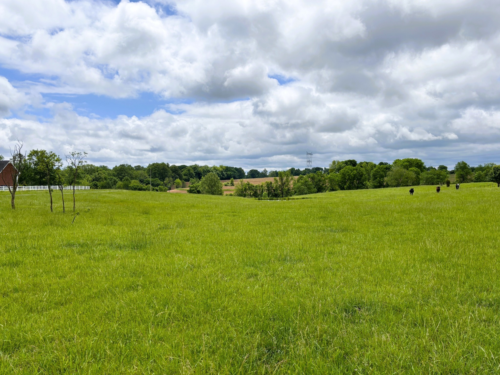 7373 New Chapel Road