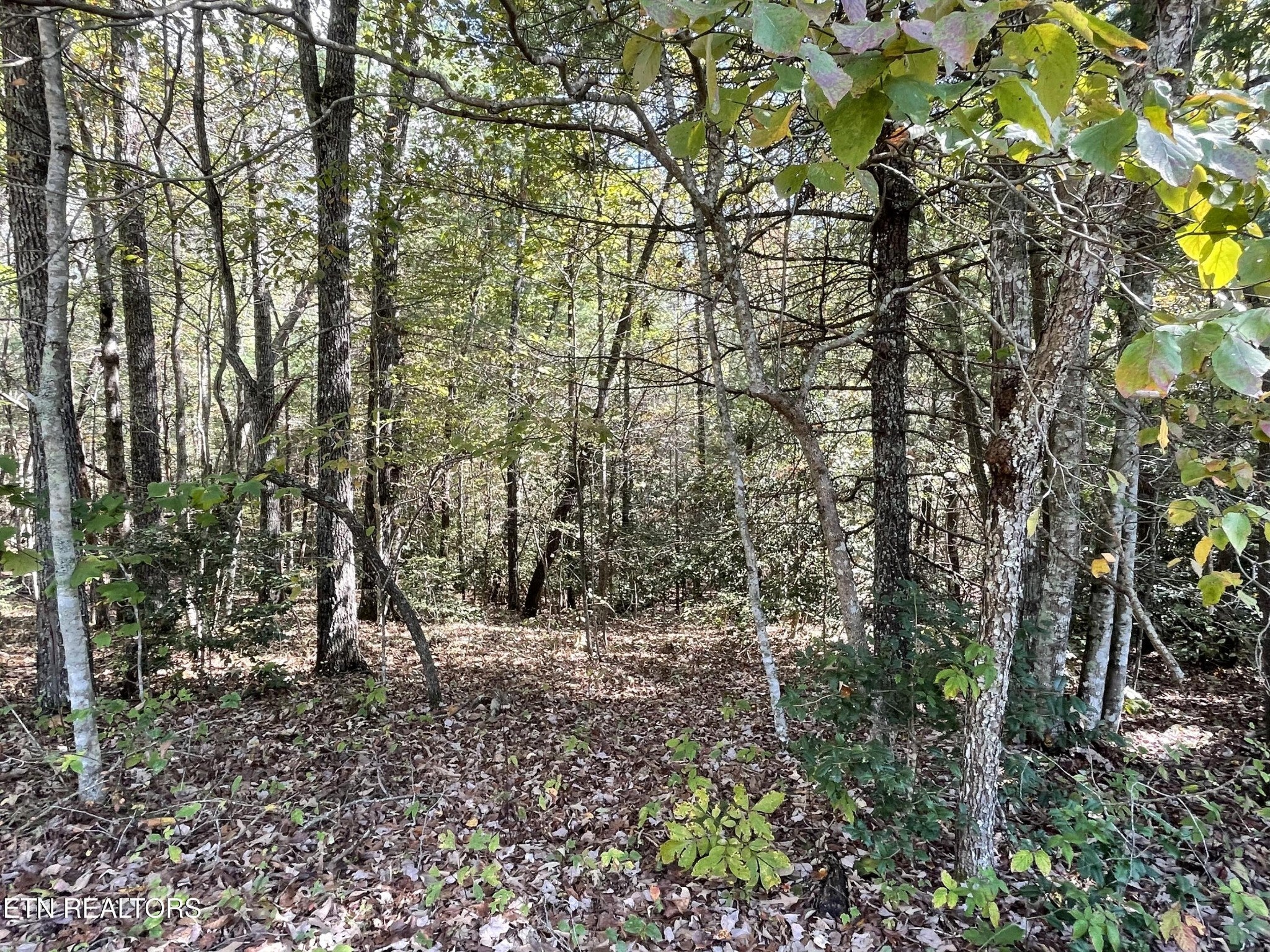 130 Stillington Loop