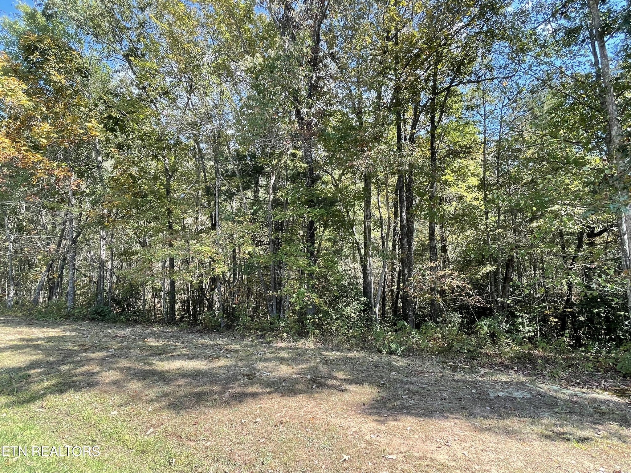 130 Stillington Loop