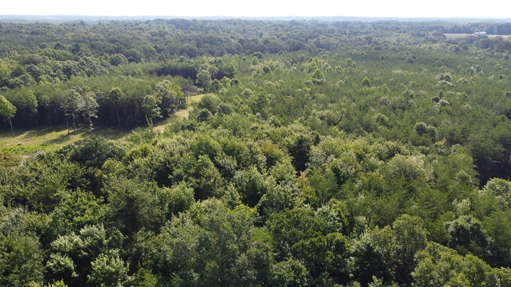 6 Grandview Bluff Rd