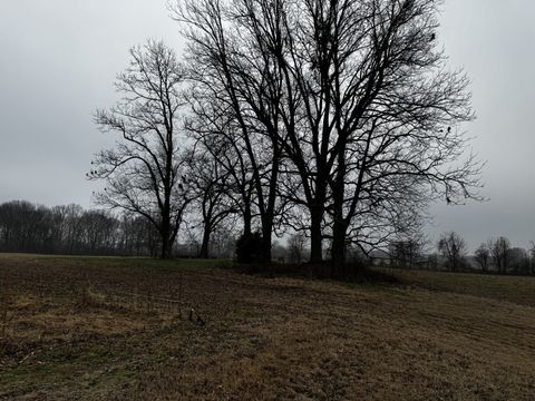 0 Lightfoot Luckett Road Ripley TN 38063