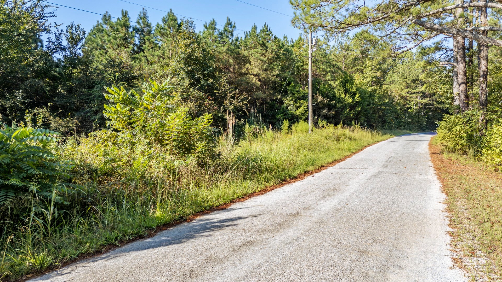 0 Baudy James Rd - Photo 4