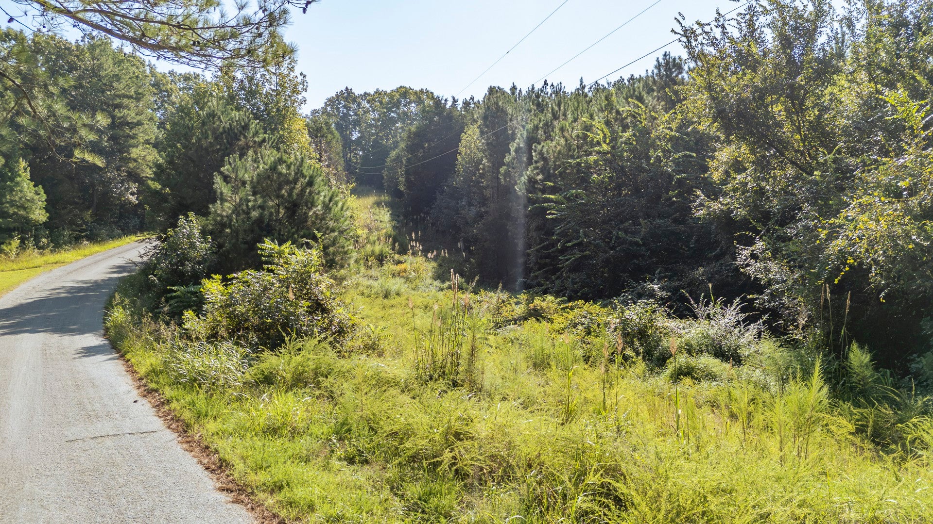 0 Baudy James Rd - Photo 3