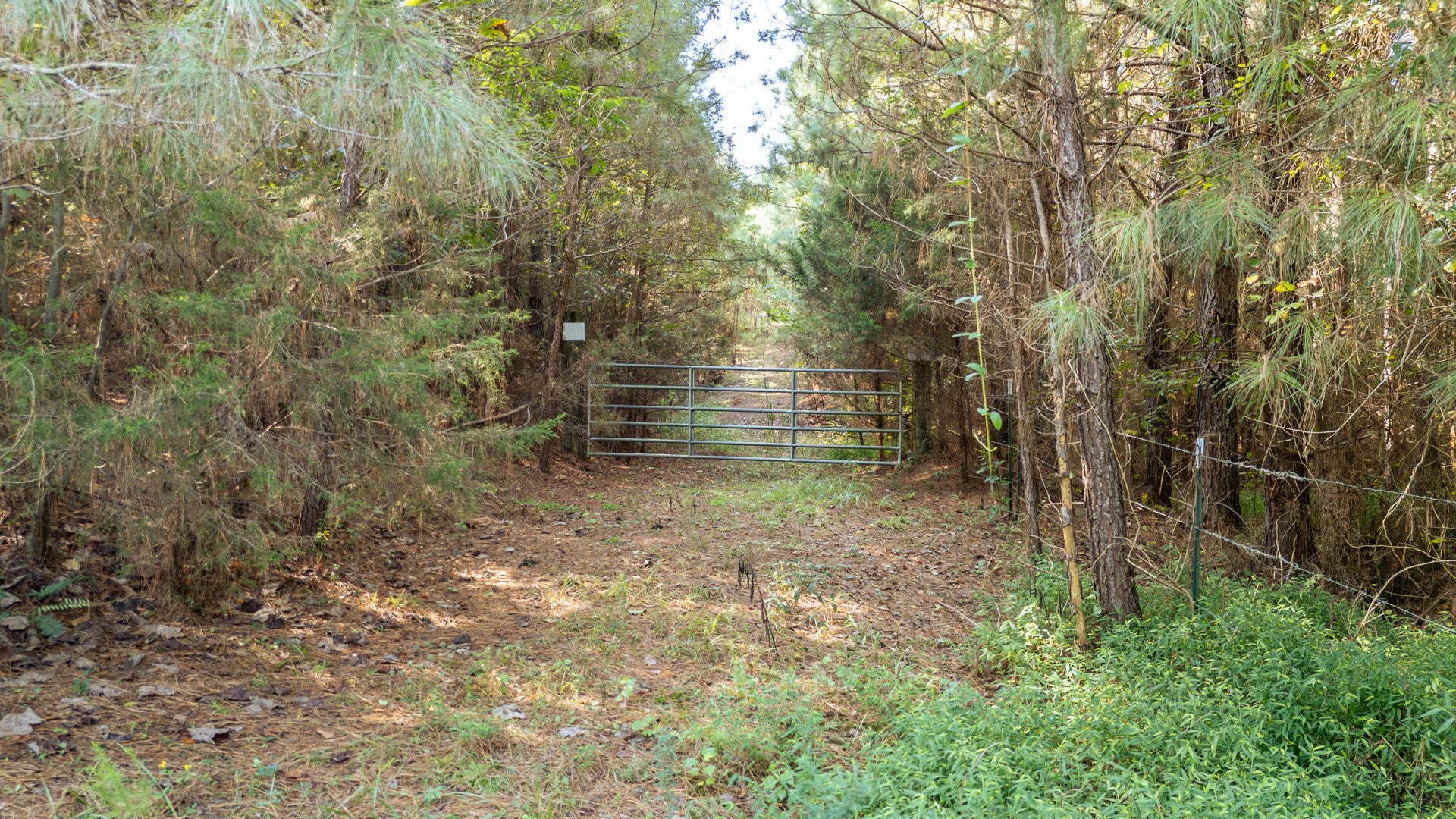 0 Baudy James Rd - Photo 2