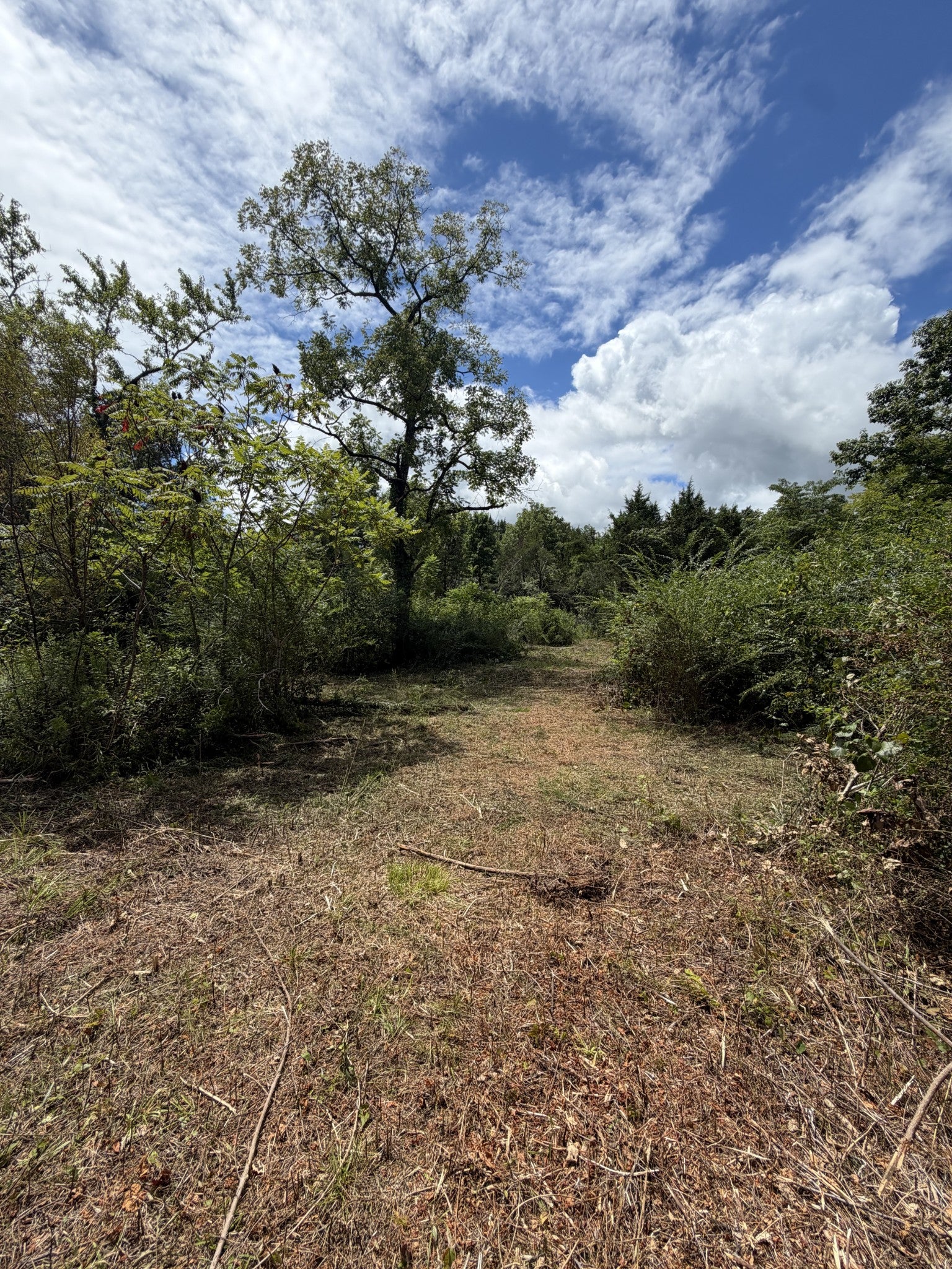 0 Woodbury Pike