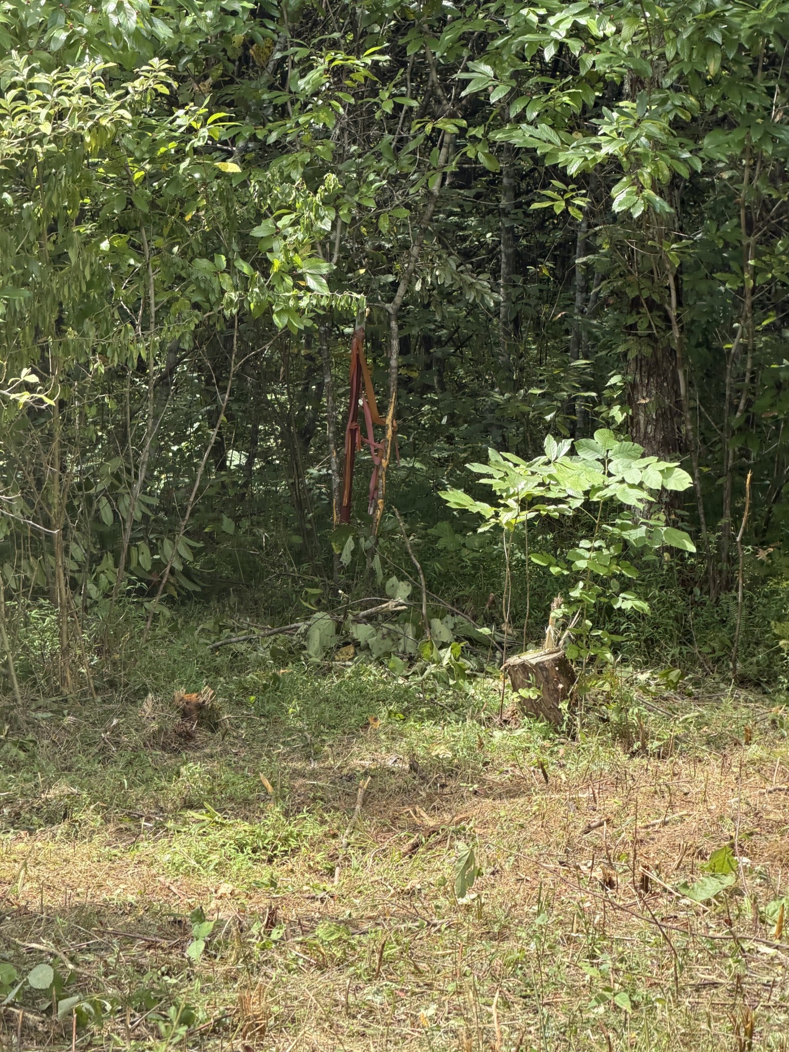 0 Woodbury Pike