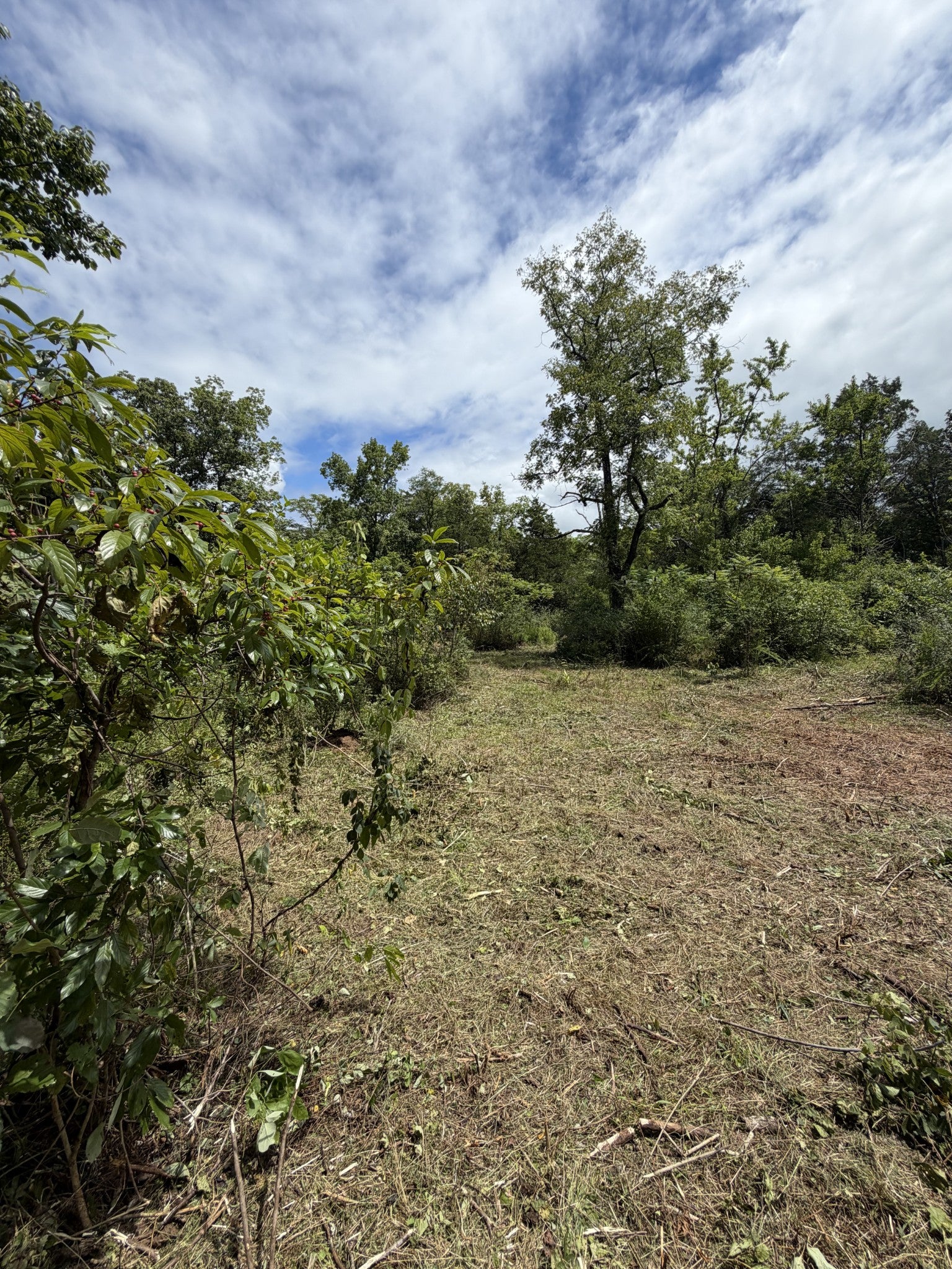 0 Woodbury Pike