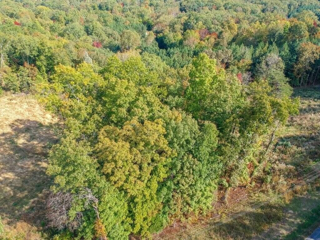 272 Spruce Drive