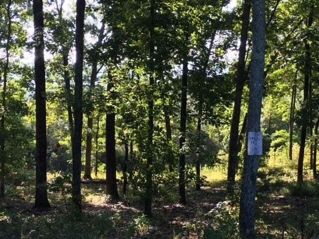 272 Spruce Drive