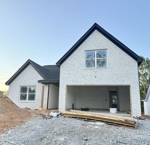 1034 Javier Dr Springfield TN 37172