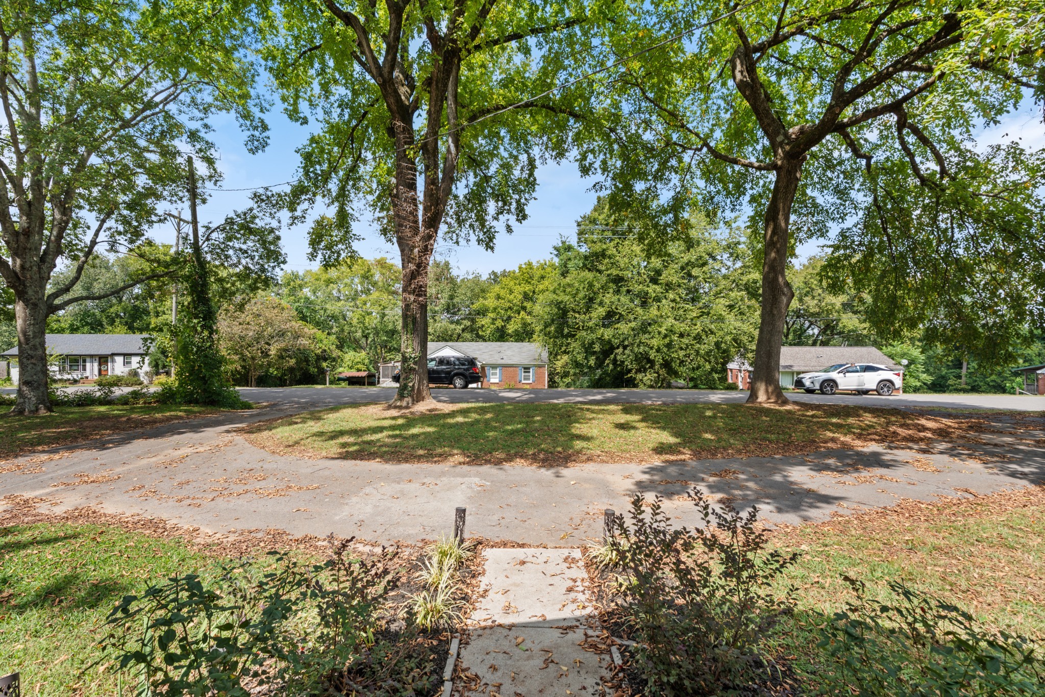 3397 Mimosa Dr