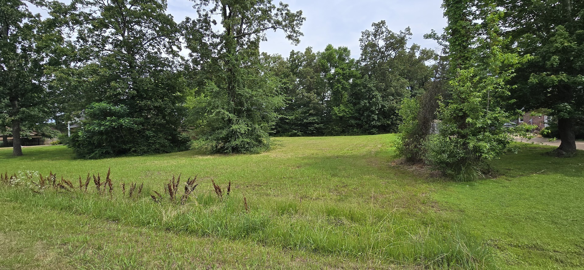 507 Callahan Dr