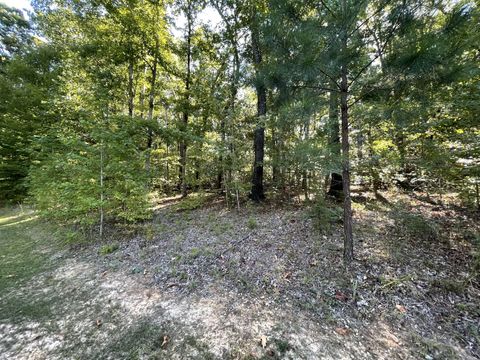 328 Bigysmal Ln Cedar Grove TN 38321