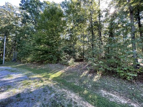 328 Bigysmal Ln Cedar Grove TN 38321
