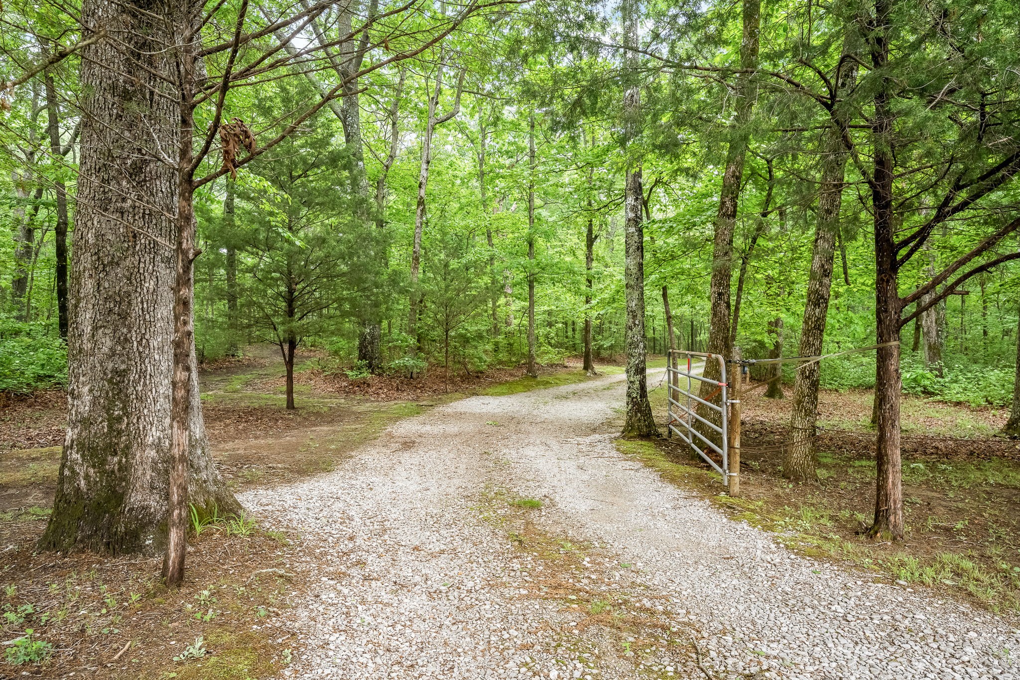 154 WHITETAIL LANE