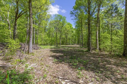 9346 Christiana Fosterville Rd Christiana TN 37037