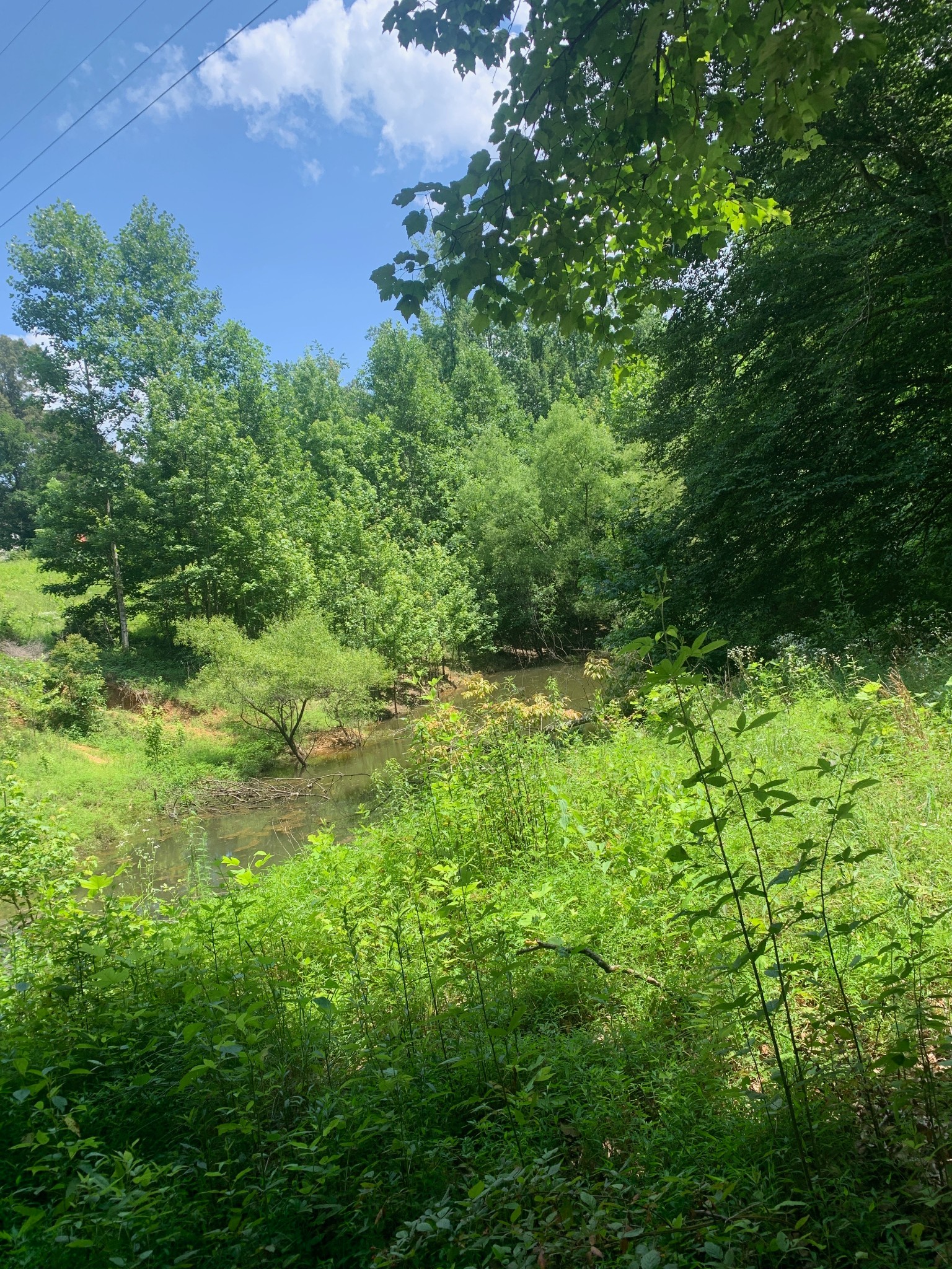 0 Smith Chapel Dr