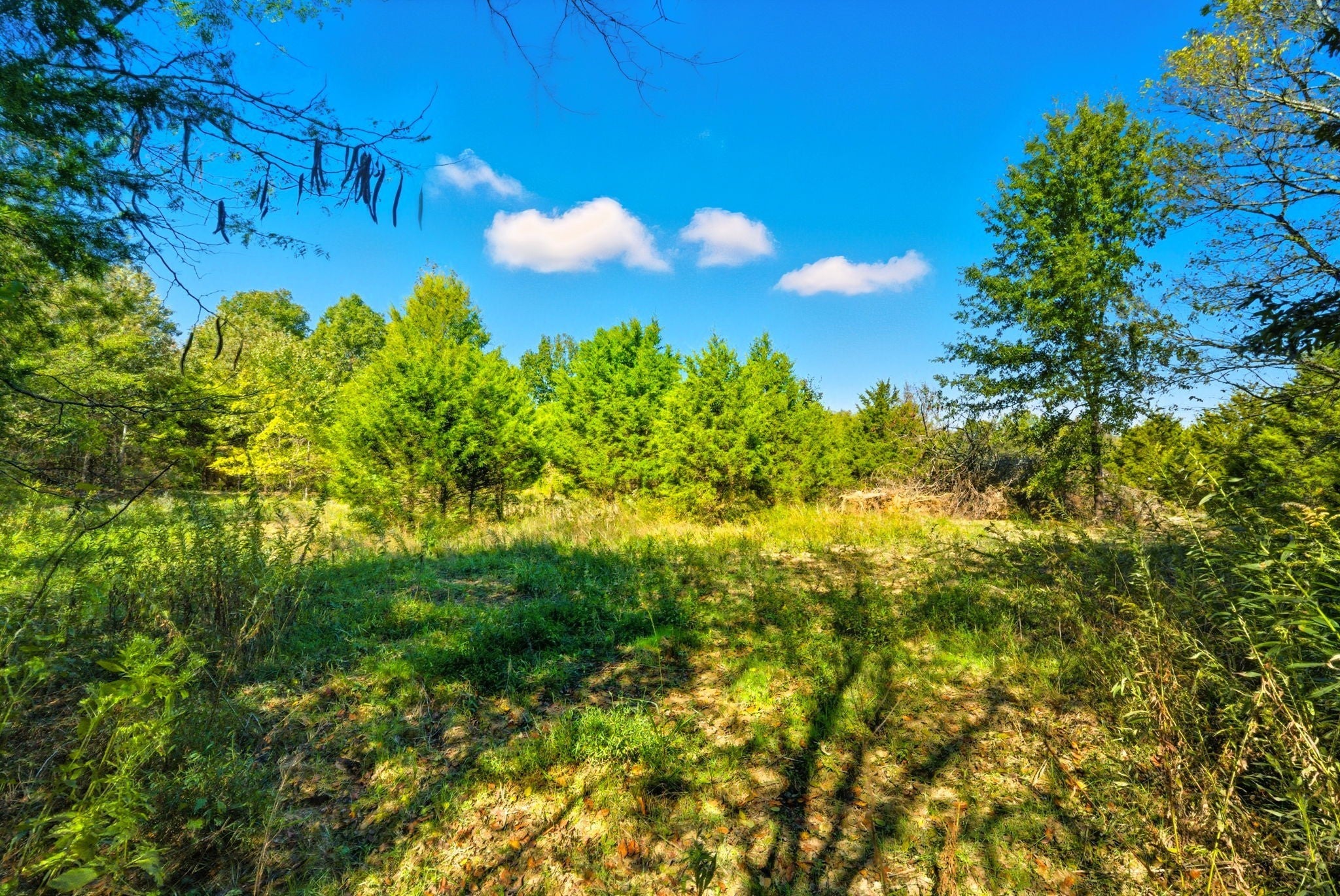 795 White Rd