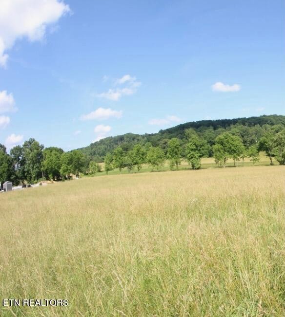 1361 Paint Rock Valley Rd