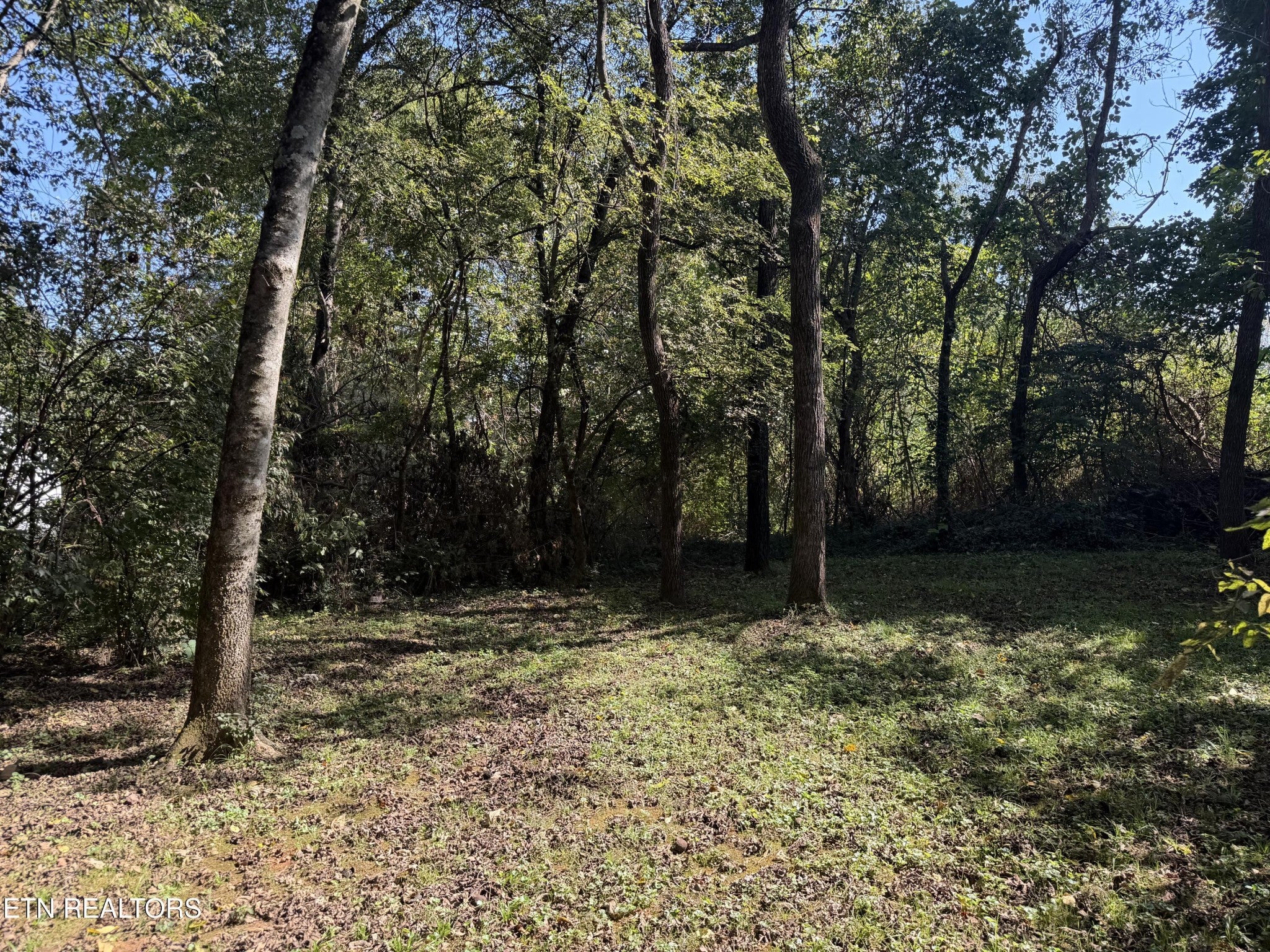 7010 Anderson Lane