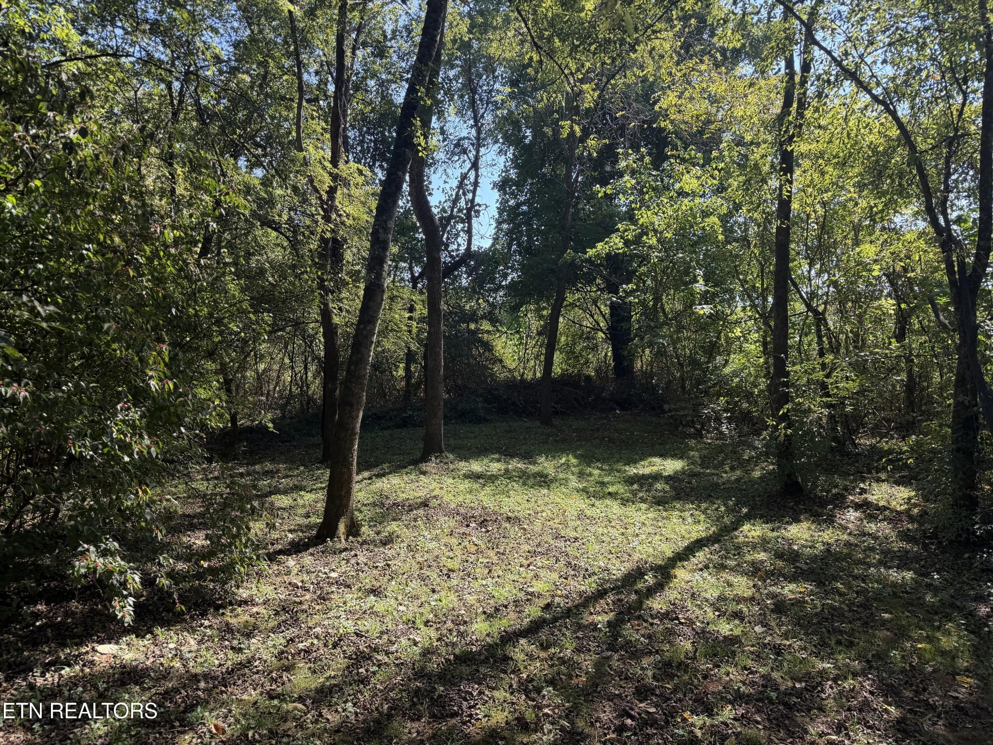 7010 Anderson Lane