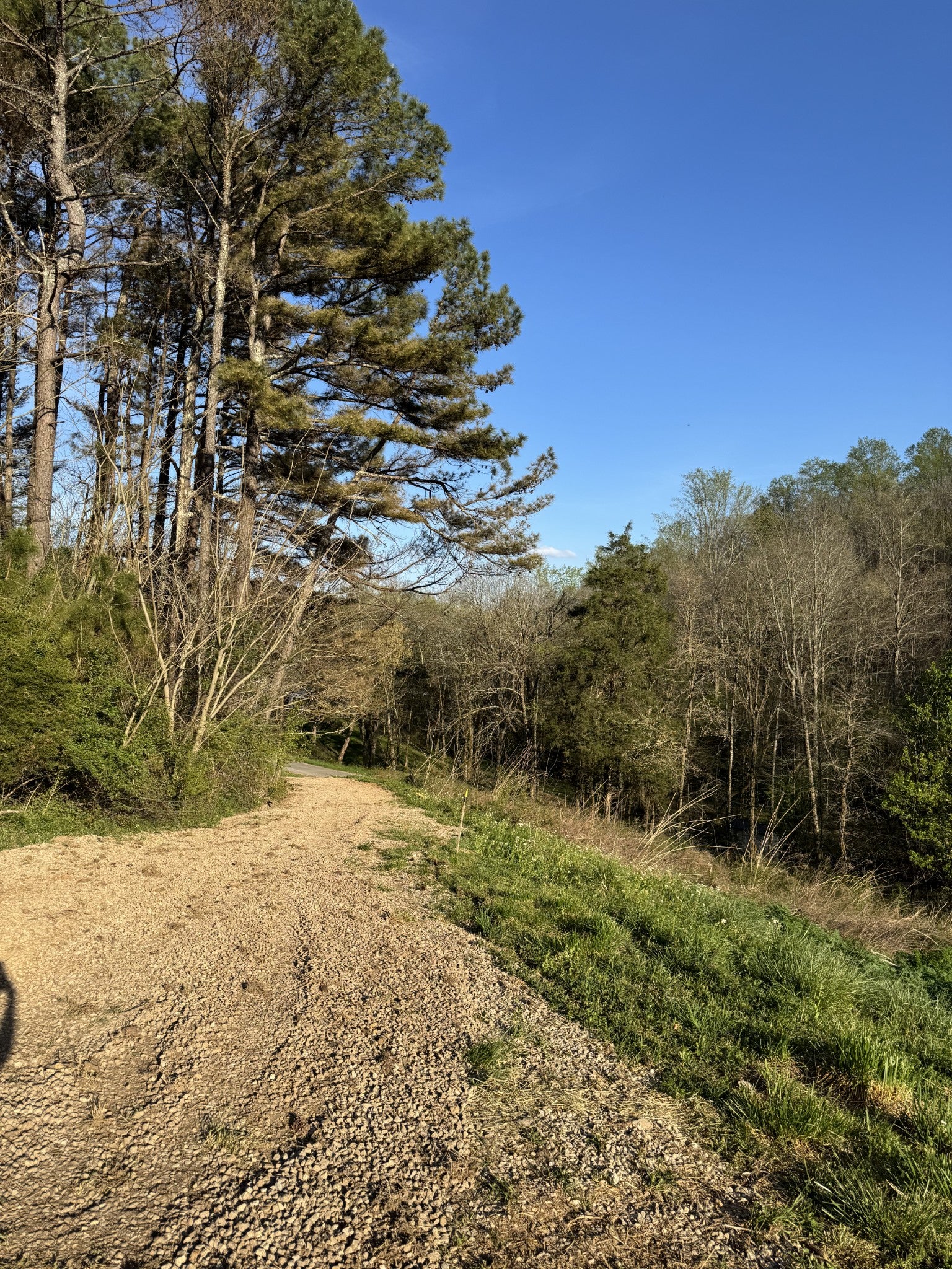 195 Hasty Hollow Rd