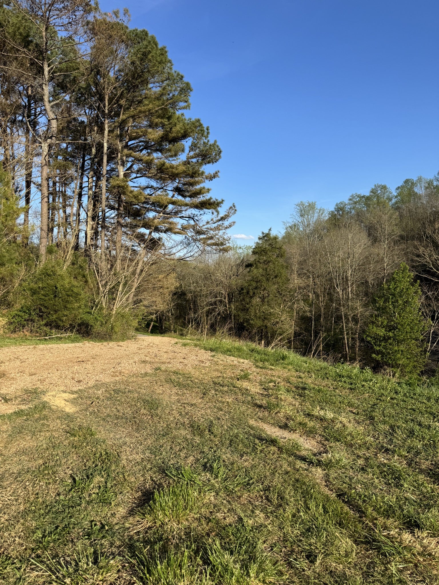 195 Hasty Hollow Rd