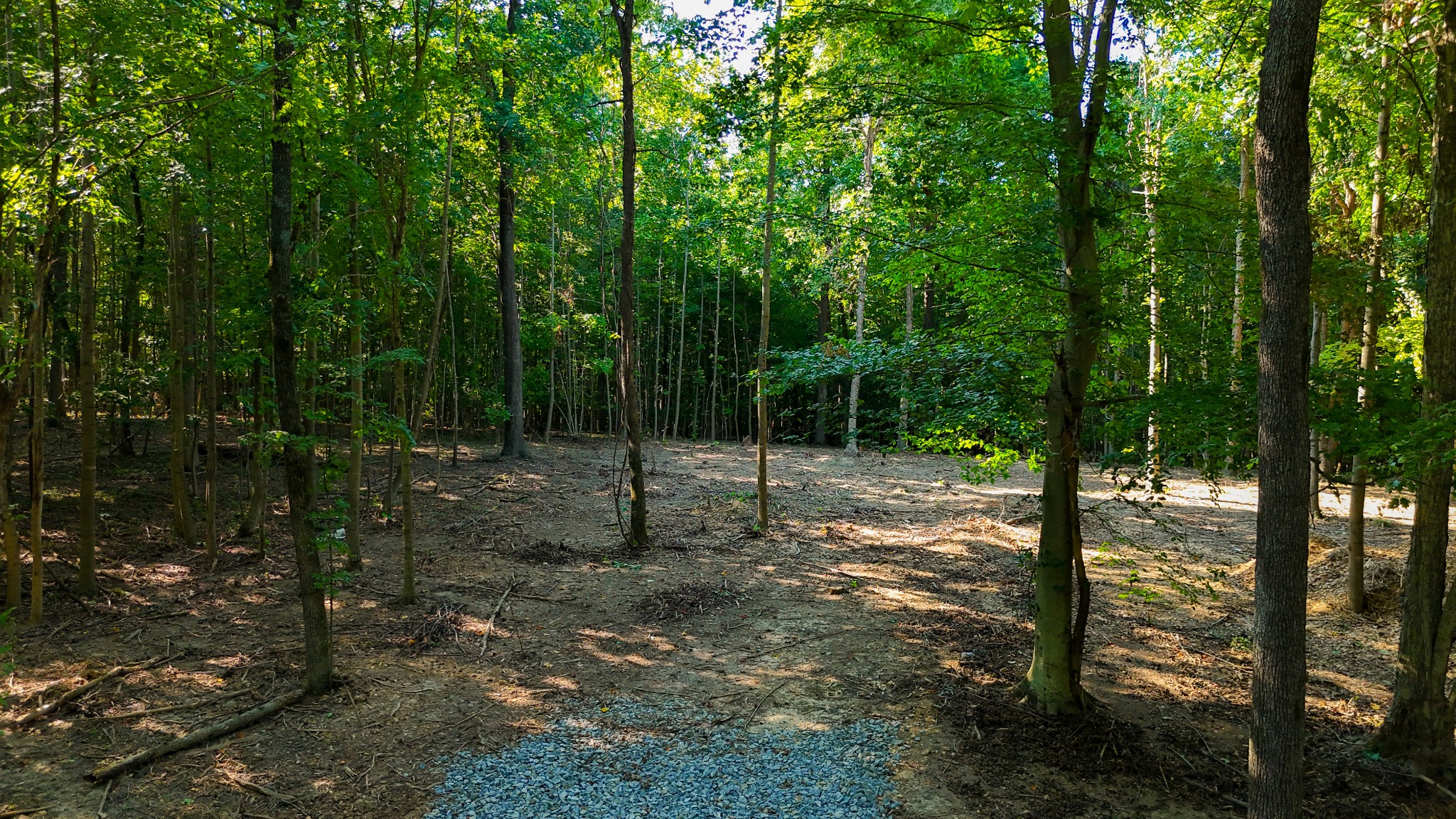 7950 Bill Moss Rd