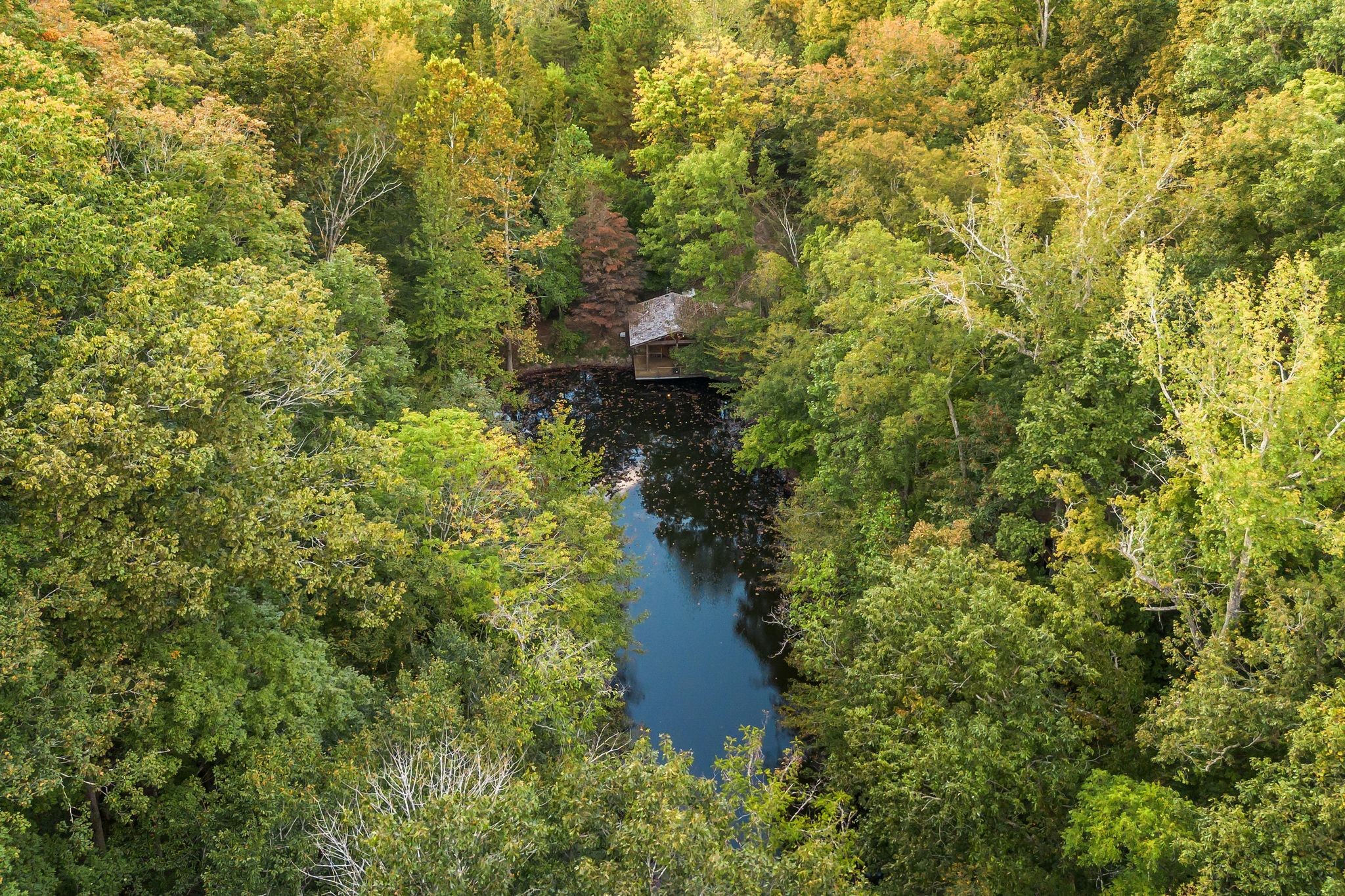 5192 Whitlow Mountain Rd