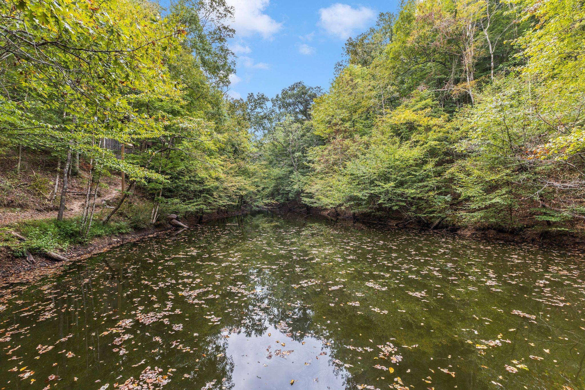 5192 Whitlow Mountain Rd