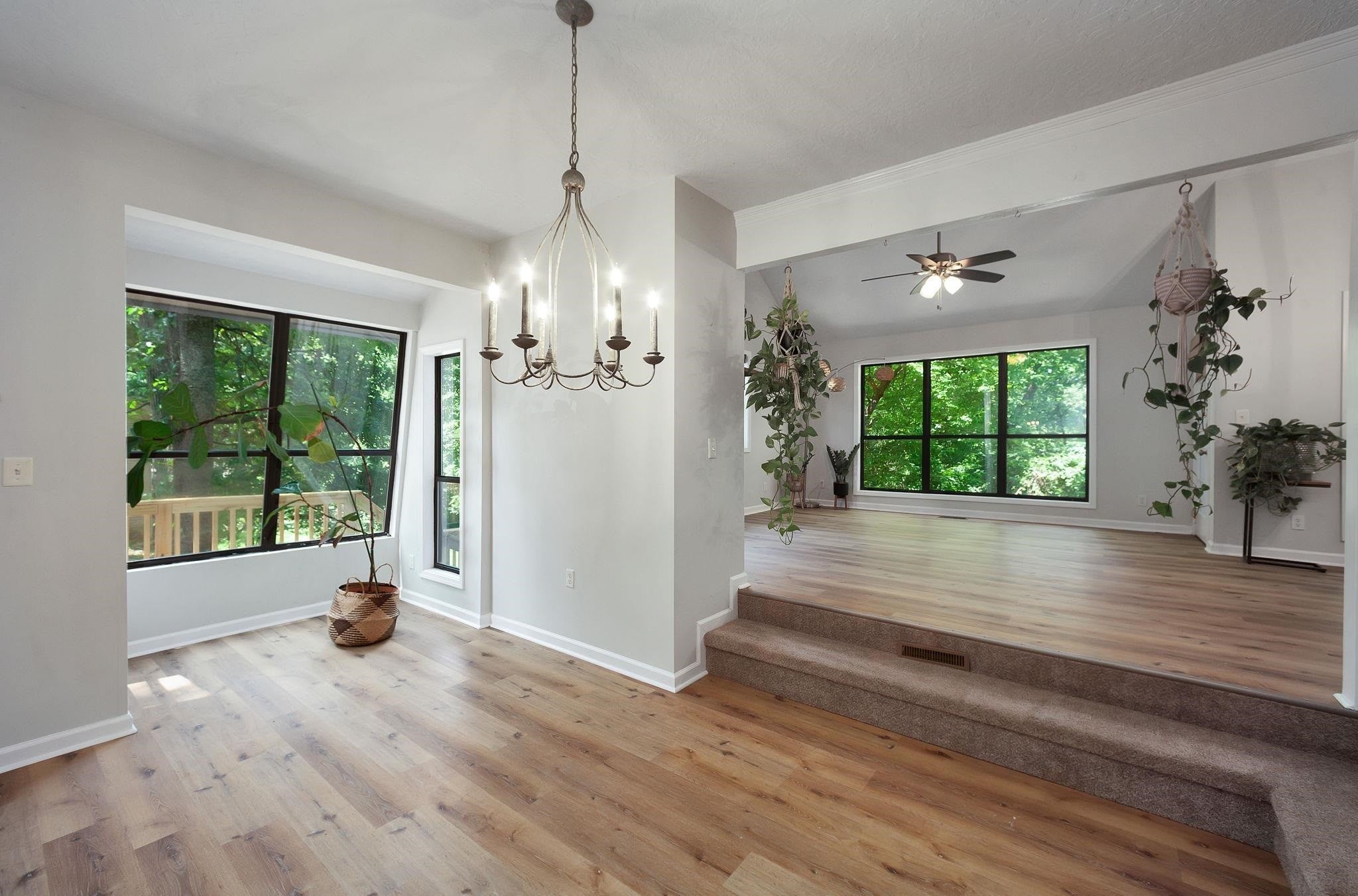 71 COLONIAL CV