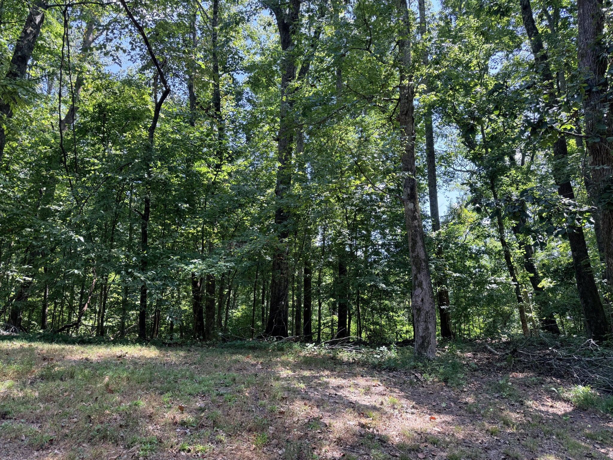 0 River Bluff Lane