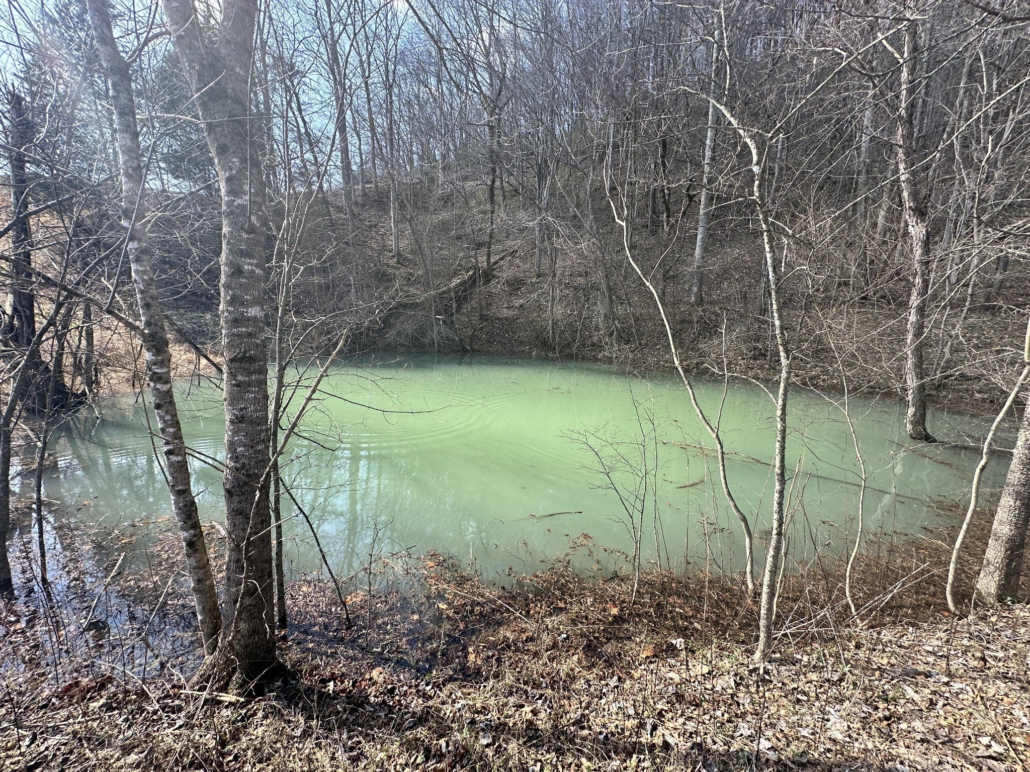 315 Little Creek Rd