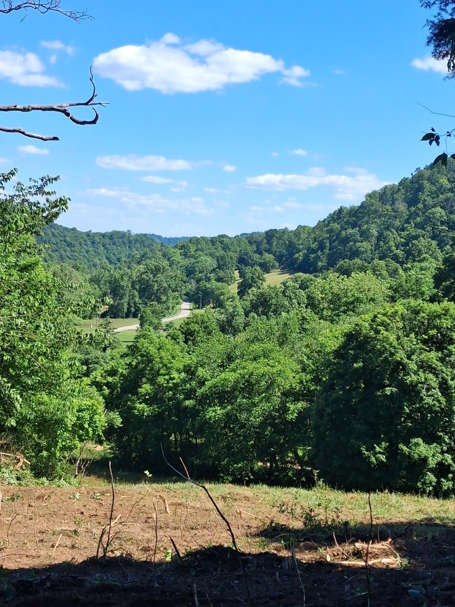 315 Little Creek Rd