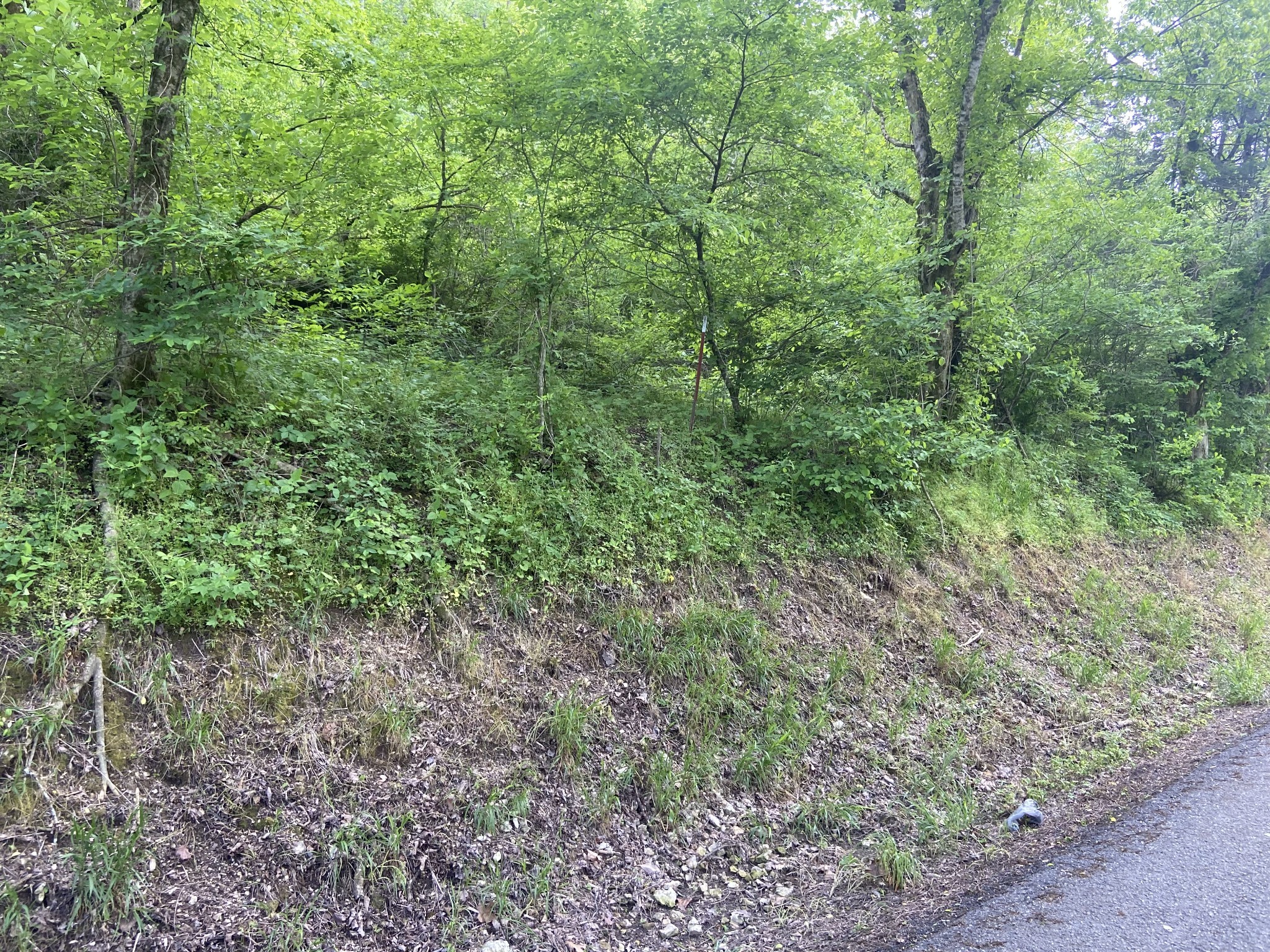 Middle Tennessee Properties 1 0 Possum Trott Rd