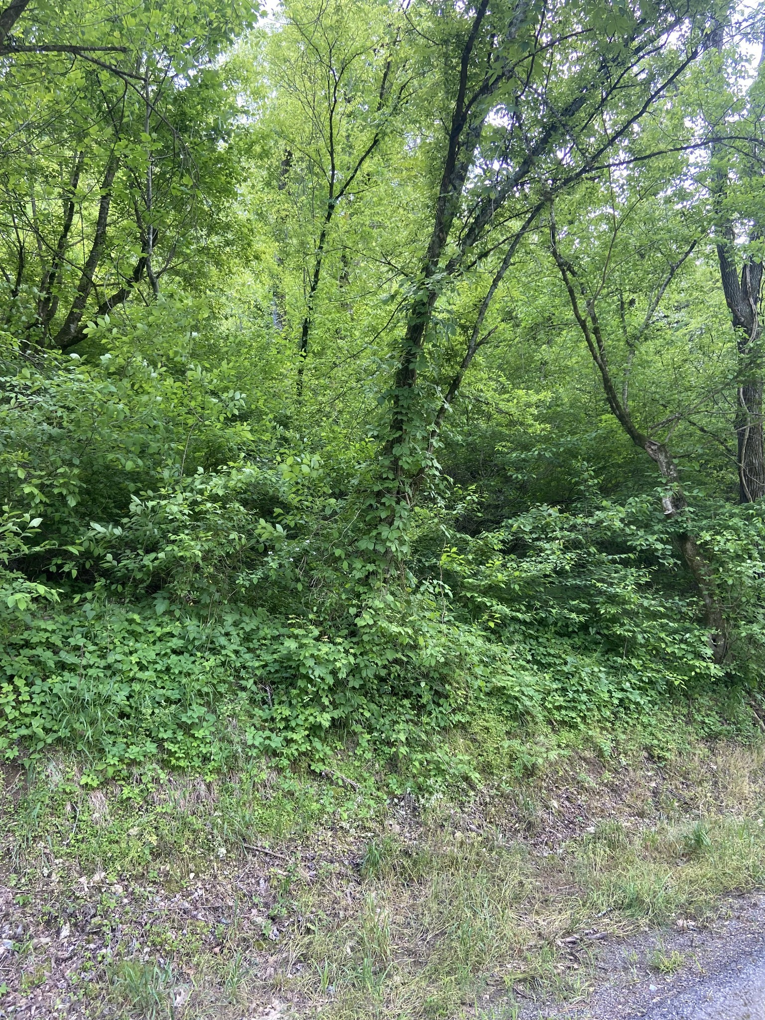 Middle Tennessee Properties 4 0 Possum Trott Rd