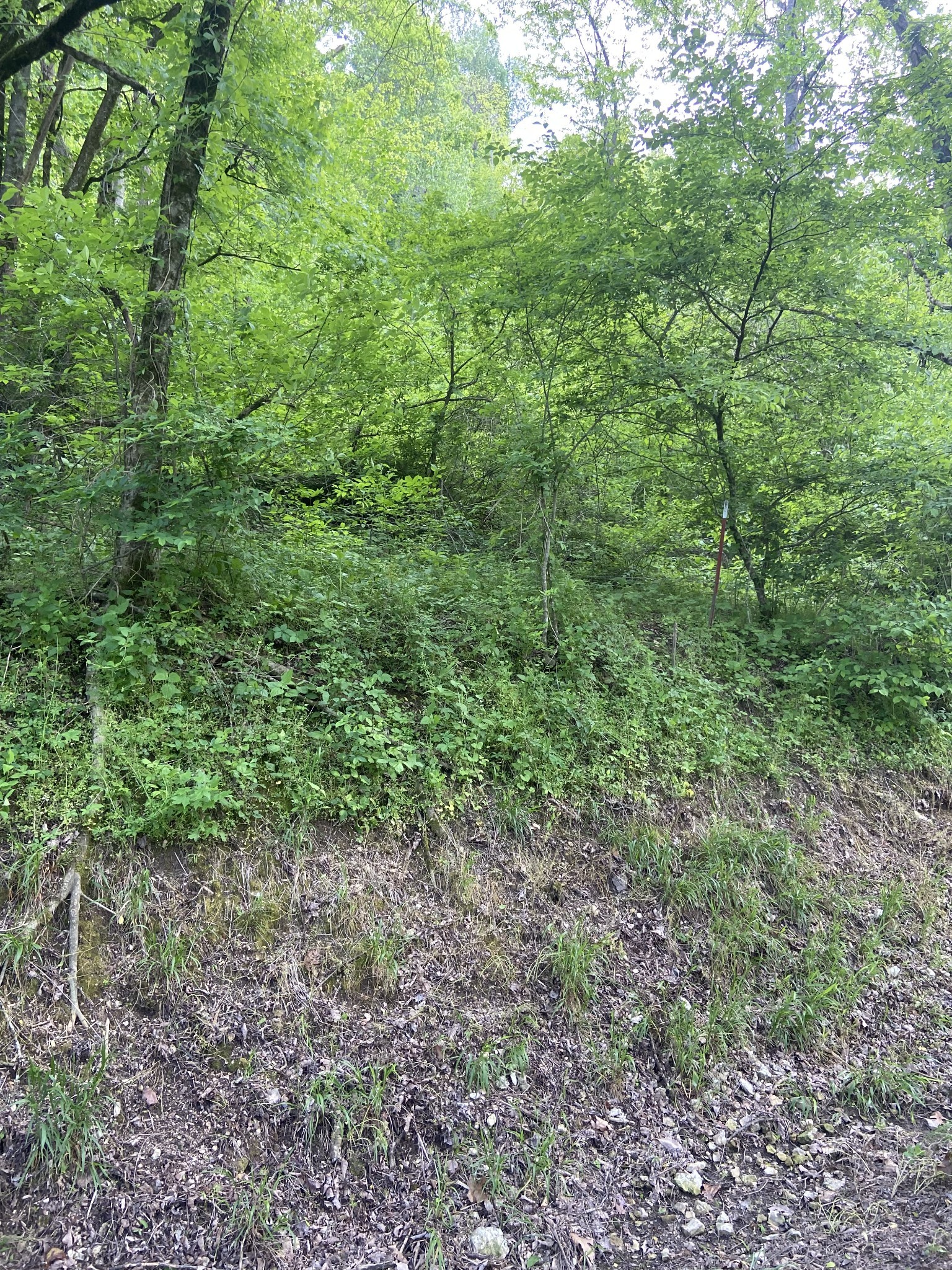 Middle Tennessee Properties 2 0 Possum Trott Rd