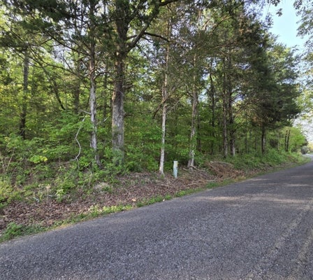 0 RED BANK CREEK ROAD, LOBELVILLE, TN 37097 - Image b4da887bf9b3b4d8b5fb5ea8cbb2fcb8/2854822234