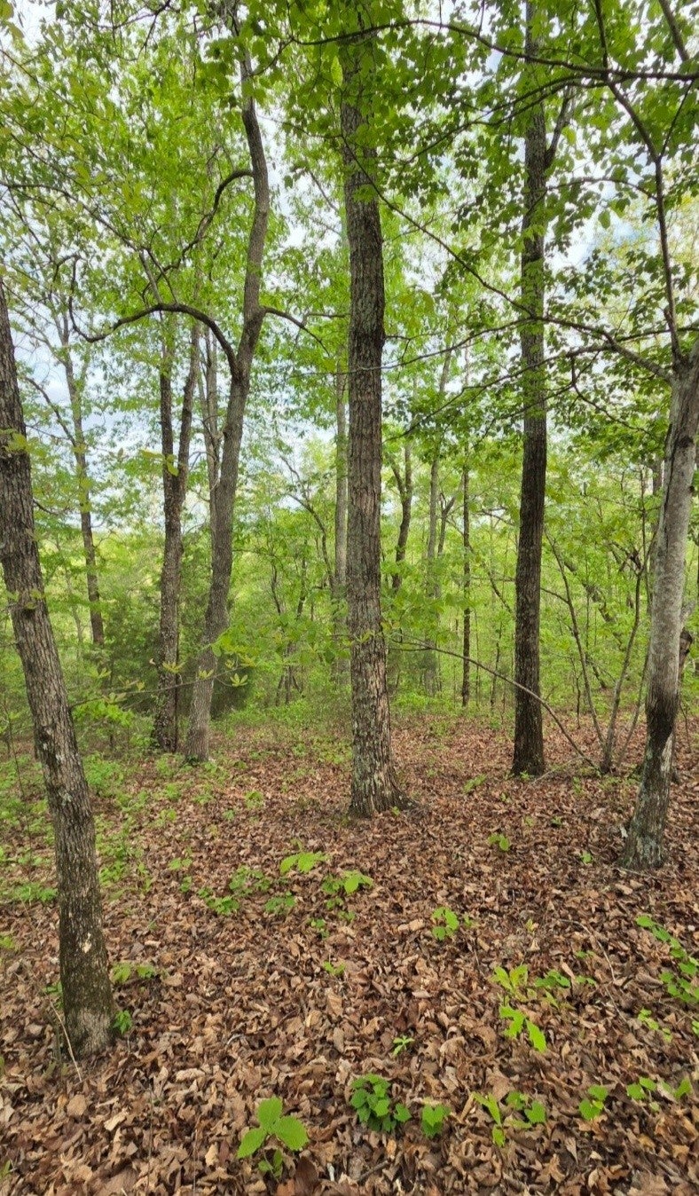 0 Red Bank Creek Road