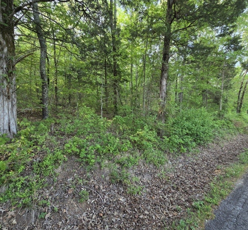 0 Red Bank Creek Road