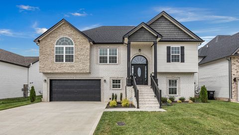 Photo of 1159 Mourning Cloak Dr, Clarksville, TN 37043 (MLS # 3167972)