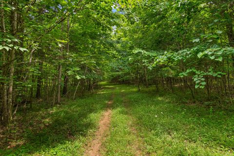 0 Lasea Rd Spring Hill TN 37174