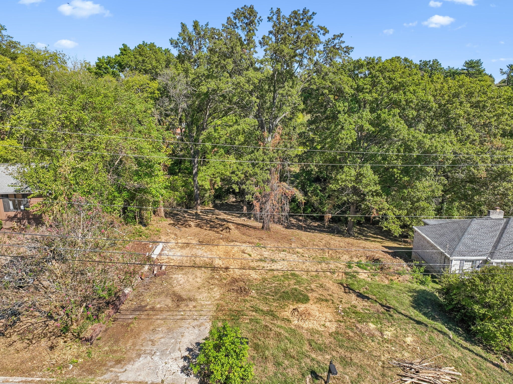 938 Giant Oak Dr