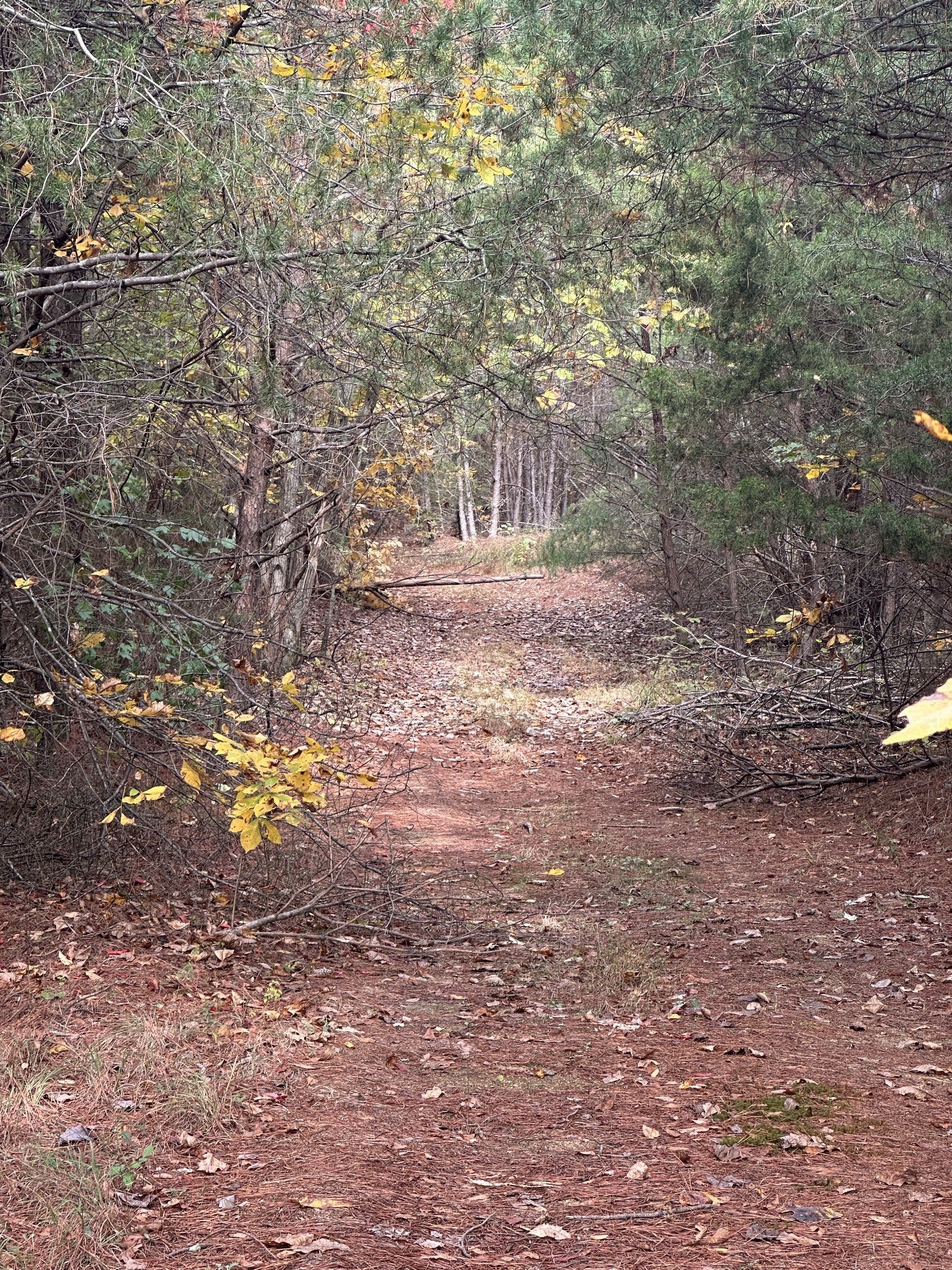 316 Arbor