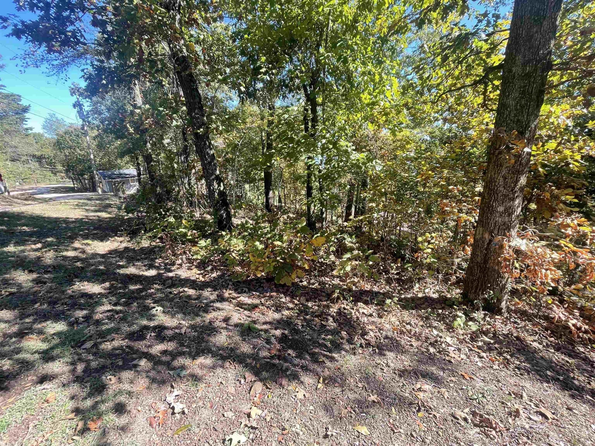 87 CR 262 RD