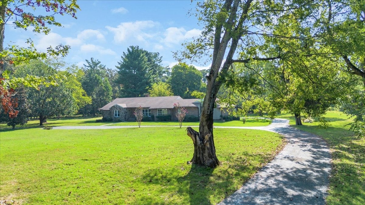 219 Cat Creek Rd
